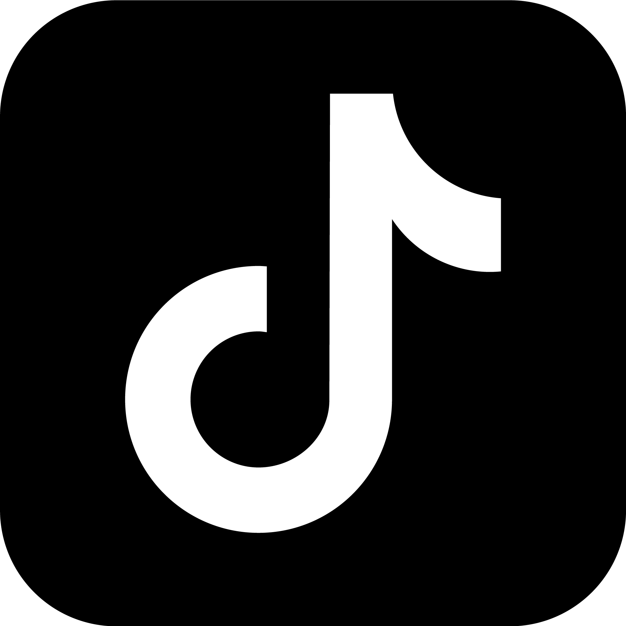 TikTok Logo