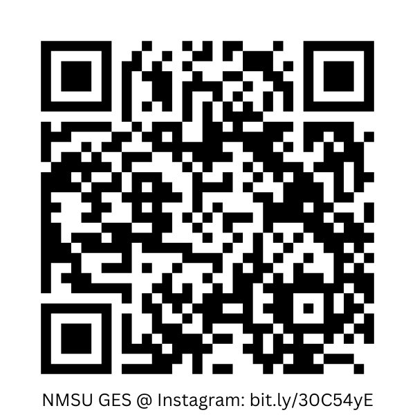 Instagram QR